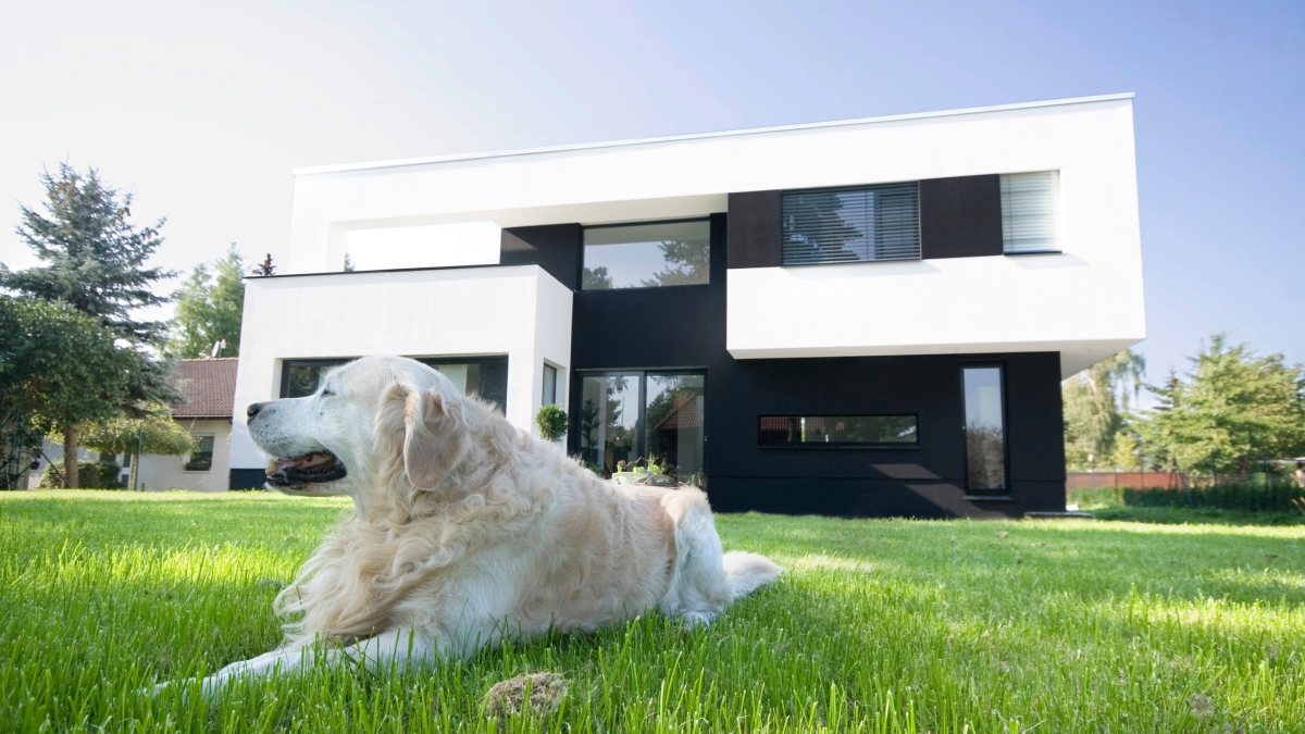 02_einfamilienhaus_cracau_magdeburg_bauhaus.jpg